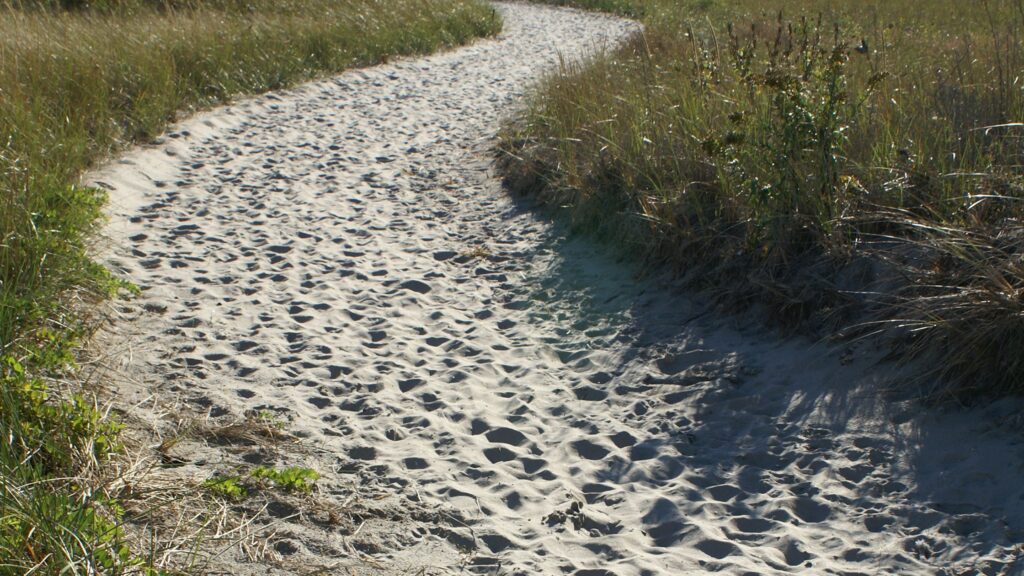 a sandy path at gloucester beach in massachussetts